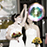 Vorschau Hochzeit-Foto 45